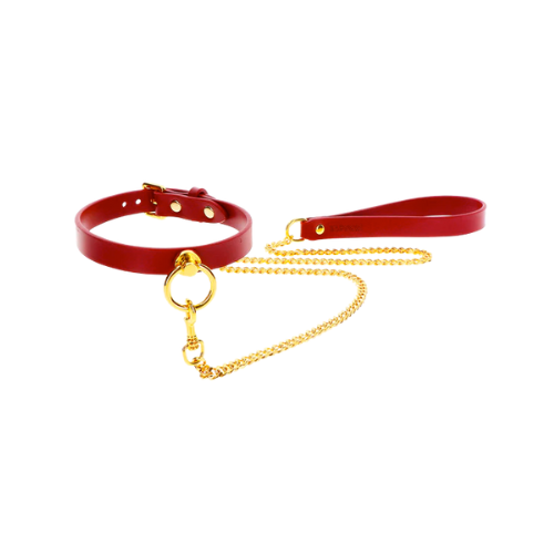 Collars and Leashes Collection
