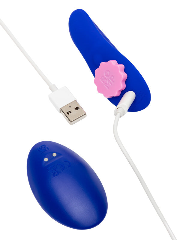 Romp Party Remote Control Panty Vibrator
