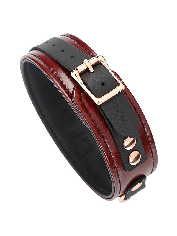 WINE RED LEATHER COLLAR WITH LEASH