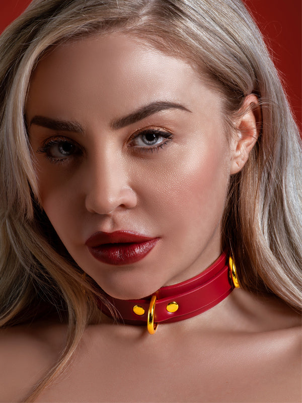 Taboom Red Faux Leather Deluxe D-ring Collar
