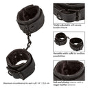 CalExotics Boundless Ankle Cuffs