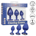 CalExotics Cheeky Gems 3-Piece Butt Plug Set Purple