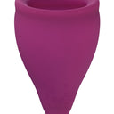 Fun Factory Fun Cup Menstrual Cup Size B Grape