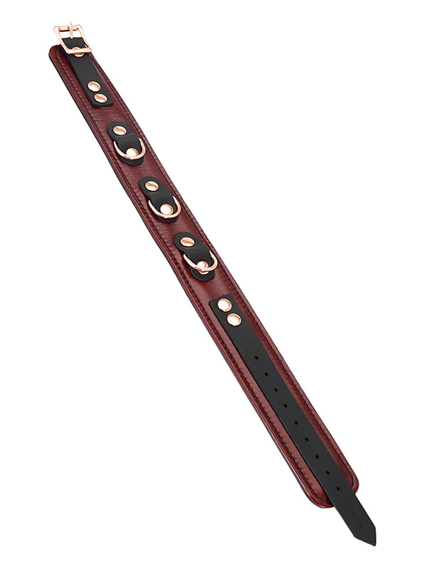 WINE RED LEATHER COLLAR WITH LEASH